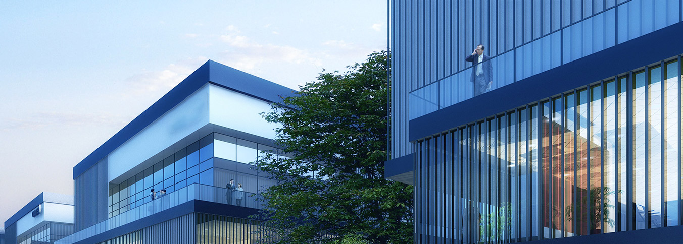 Architectural Window Tint
